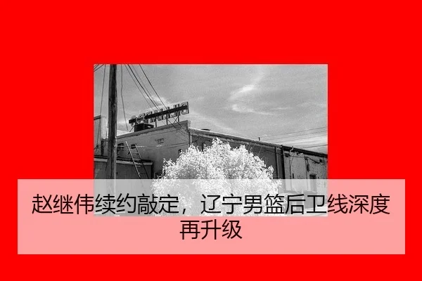 zhao-ji-wei-xu-yue-qiao-ding-liao-ning-nan-lan-hou-wei-xian-shen-du-zai-sheng-ji-2-935.jpg