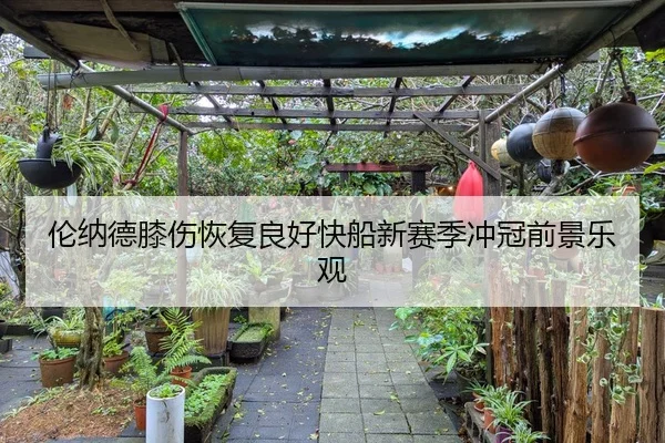 伦纳德膝伤恢复良好快船新赛季冲冠前景乐观
